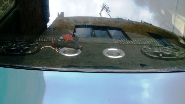 VW ATLANTIC MODELO 82